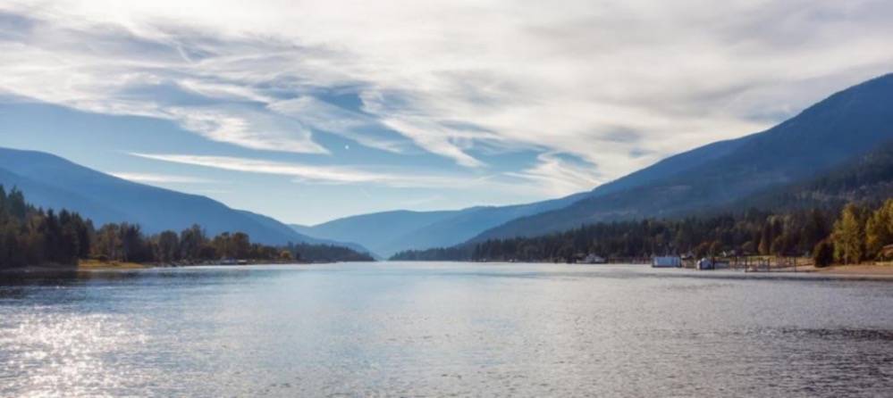 水至清则身轻，别让身体成为“净水机”-家电圈官网