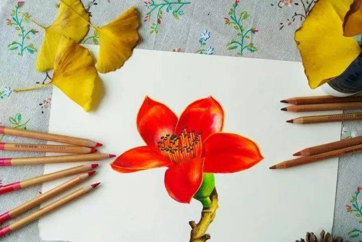 彩铅教程 | 红彤彤的木棉花,这个冬天给你温暖!_暗部_step_黑色