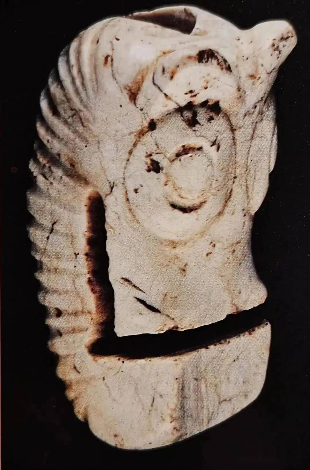 488万的崧泽玉龙贵吗_普安_玉器_形制