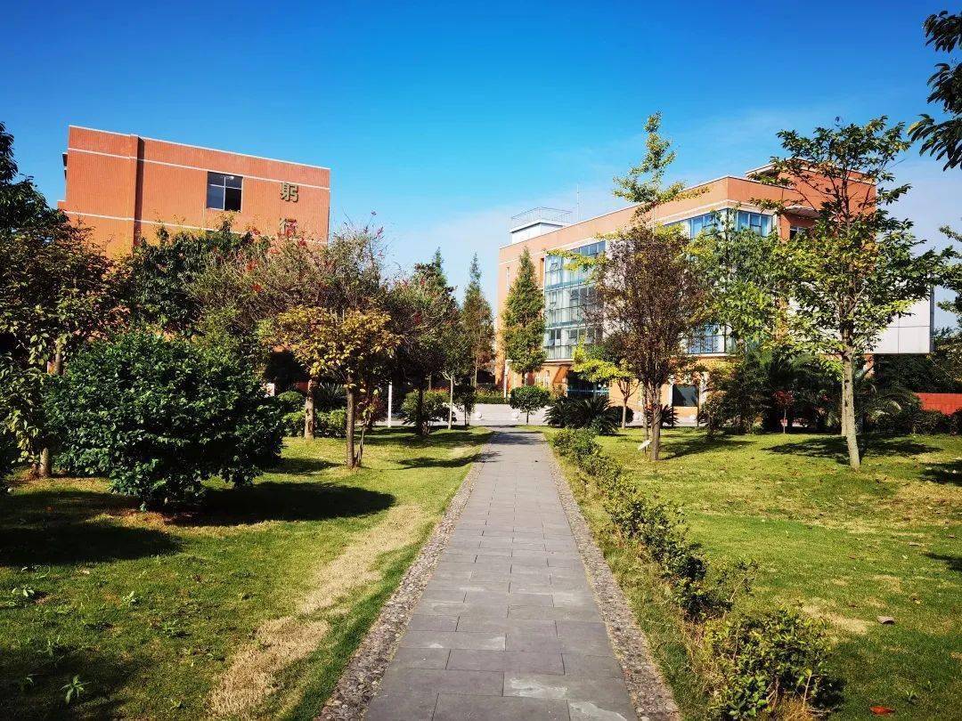 怡似红花遇彩阳阳光正好洒满世间万物东日的旭阳射出缕缕阳光德阳九中