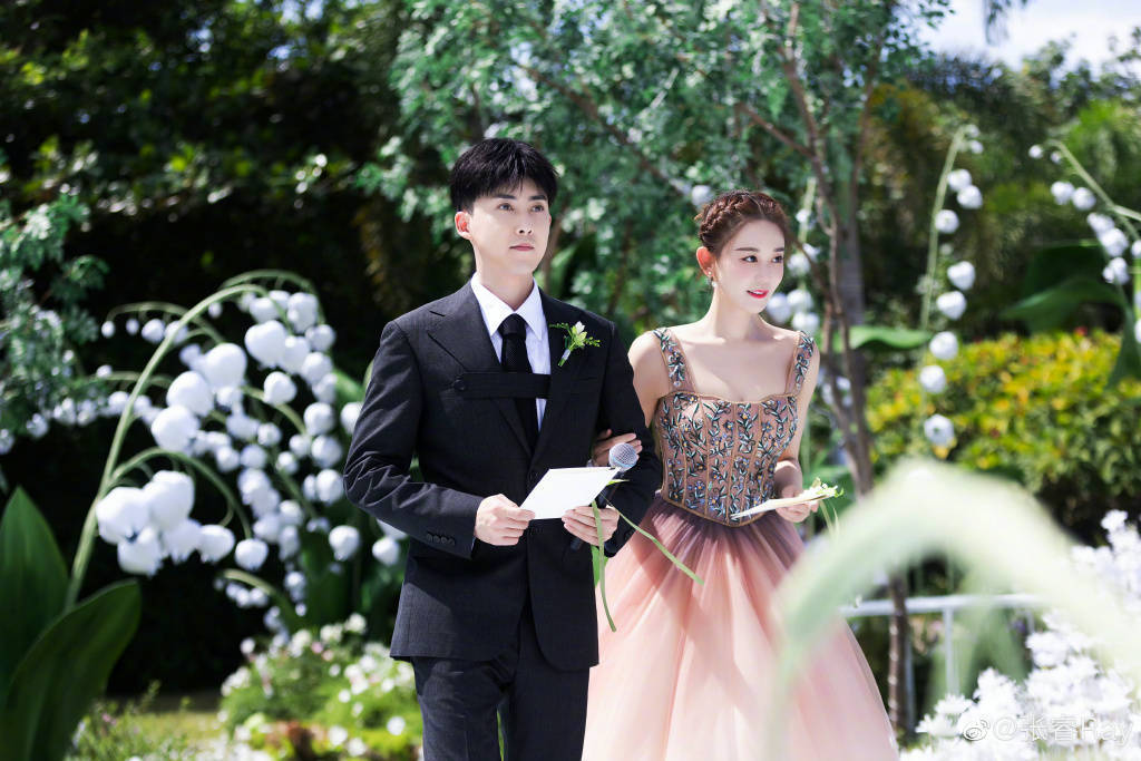 一个为爱整容,一个劈腿成瘾,他俩结婚一点也不意外,没想到最后亮点是