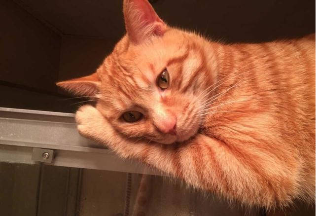 图片[2]-是什么导致了现在的年轻人“找不到”对象？ -微众资源