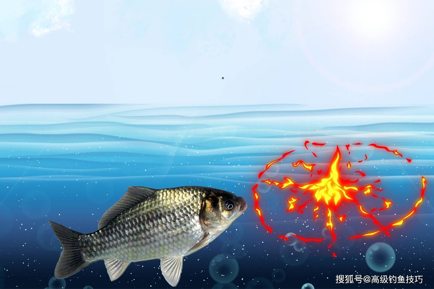 水温低如何增强鱼饵的穿透力？增强鱼饵穿透力的方法
