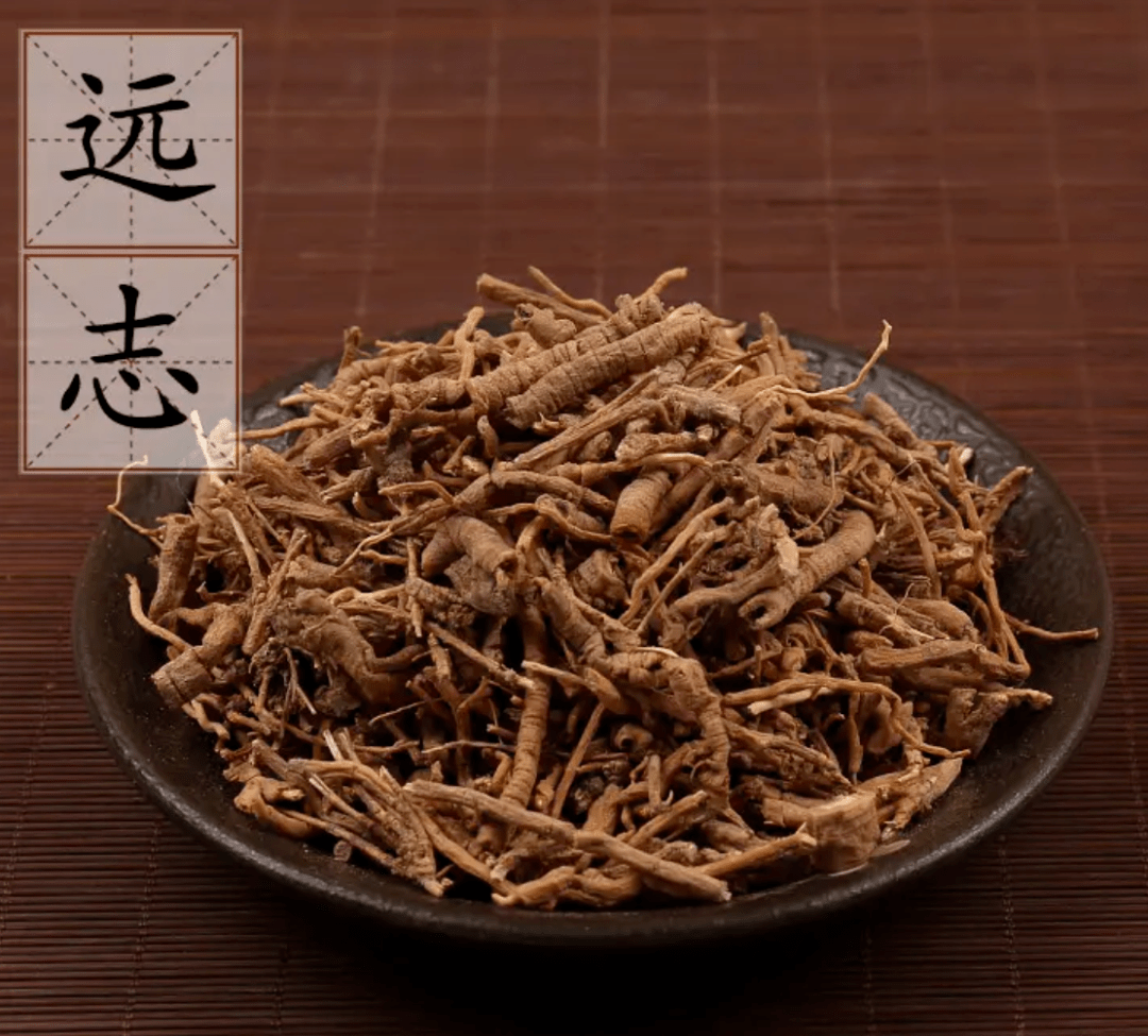 一个增强记忆力的方子,4味药搞定健忘、失眠、盗汗_远志_石菖蒲_孔圣