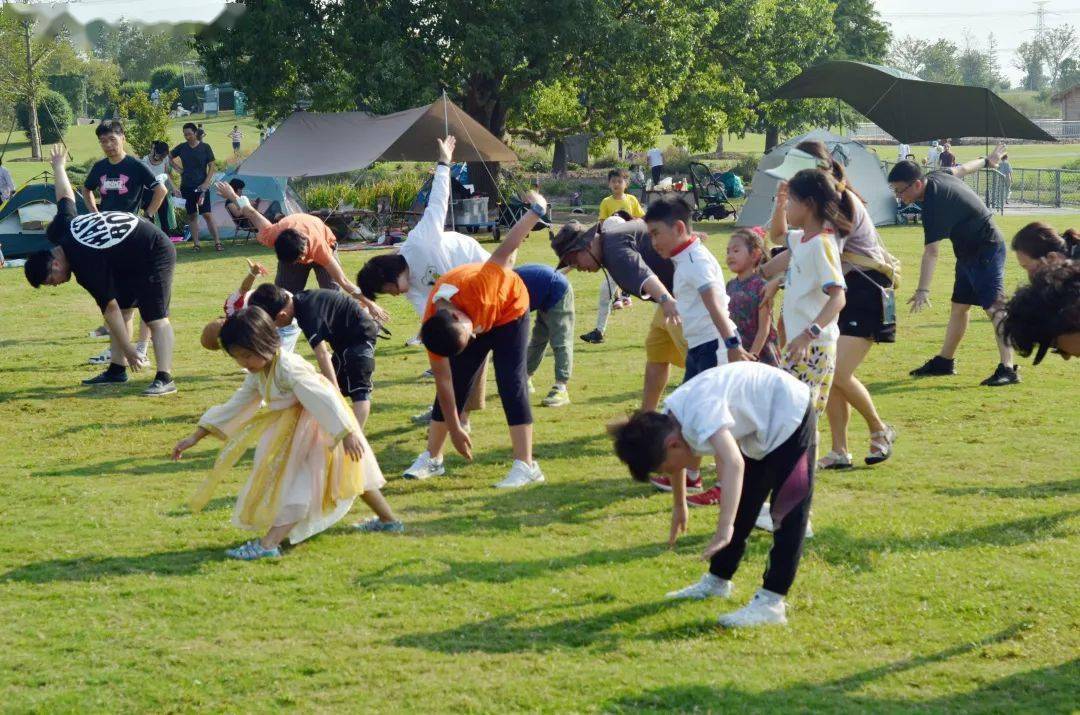 【半日亲子】秋季植物课 草地亲子运动会@辰山植物园_种子_活动_飞行