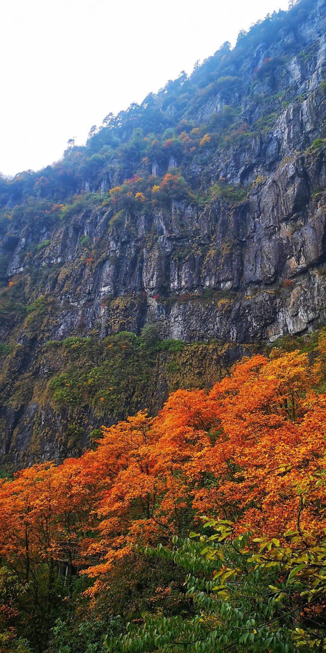 洪雅瓦屋山景区图片