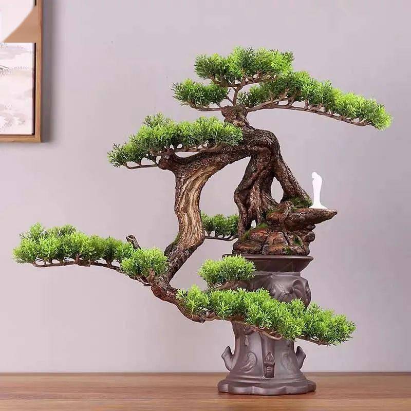 悬崖之回旋捞月_盆景_造型_景观