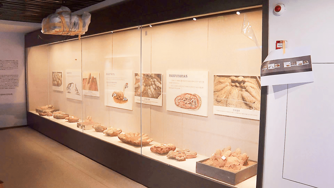 恐龙化石 vr体验厅,广东南雄恐龙地质科普中心即将对外试开放,它位于