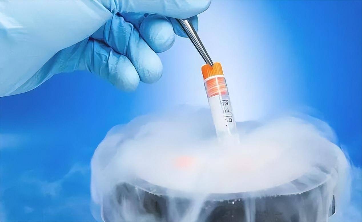 使用合适的冷冻保护剂3.细胞冻存的速率4.