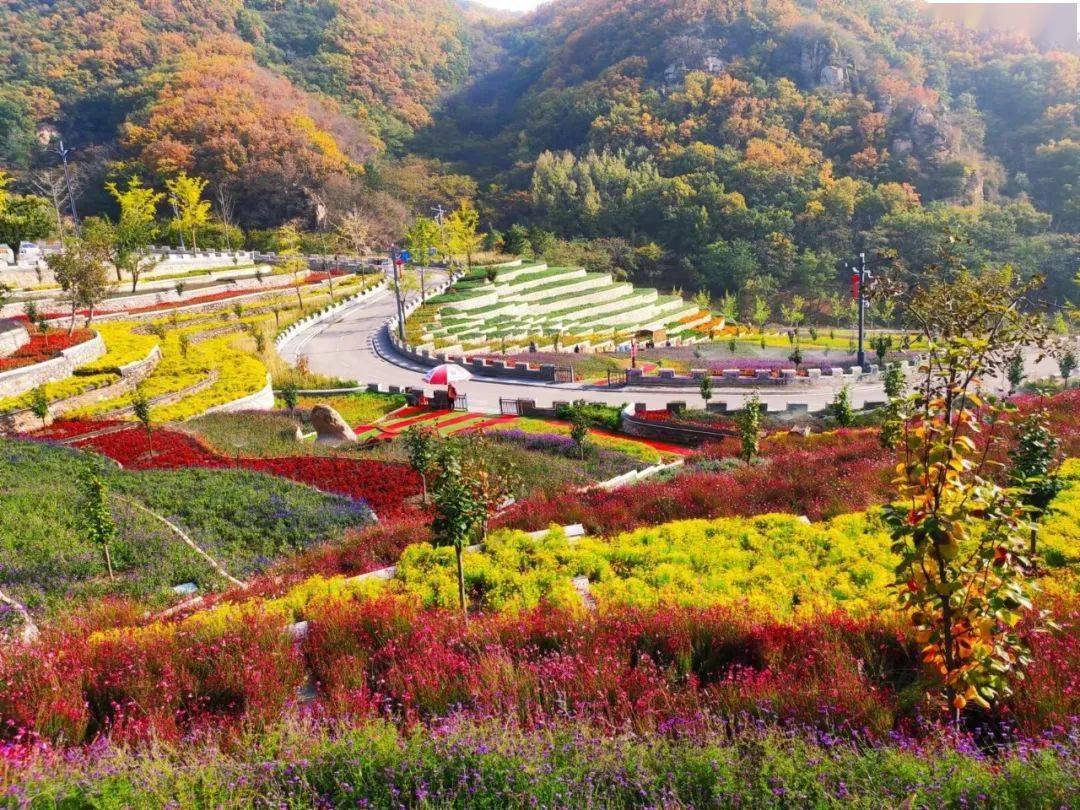 朝阳梨树沟风景区地址图片