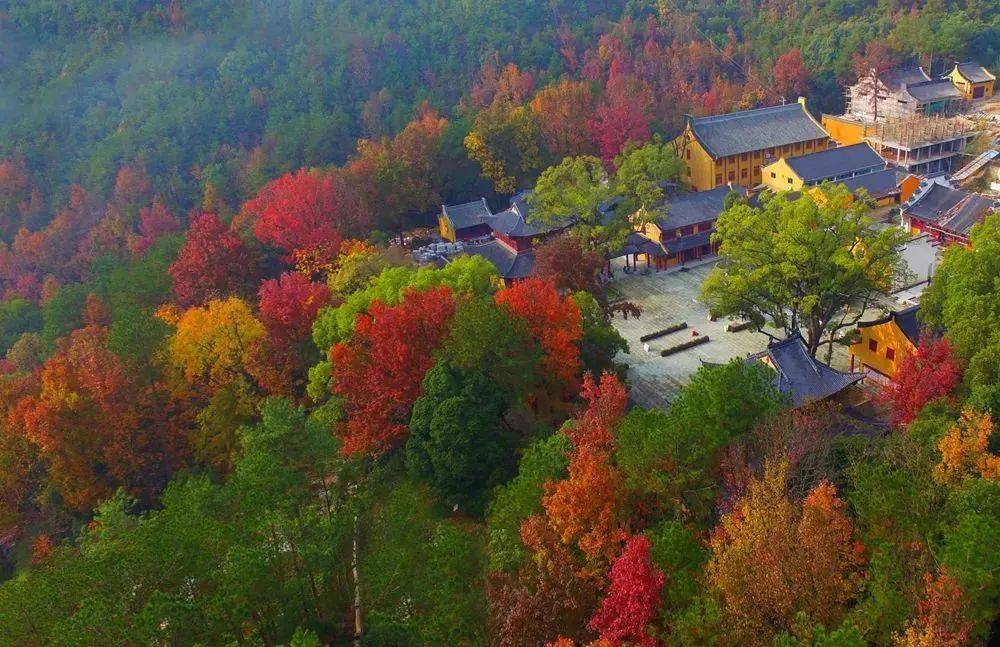 autumn若是在兰溪赏秋,不来趟白露山便不算完整.