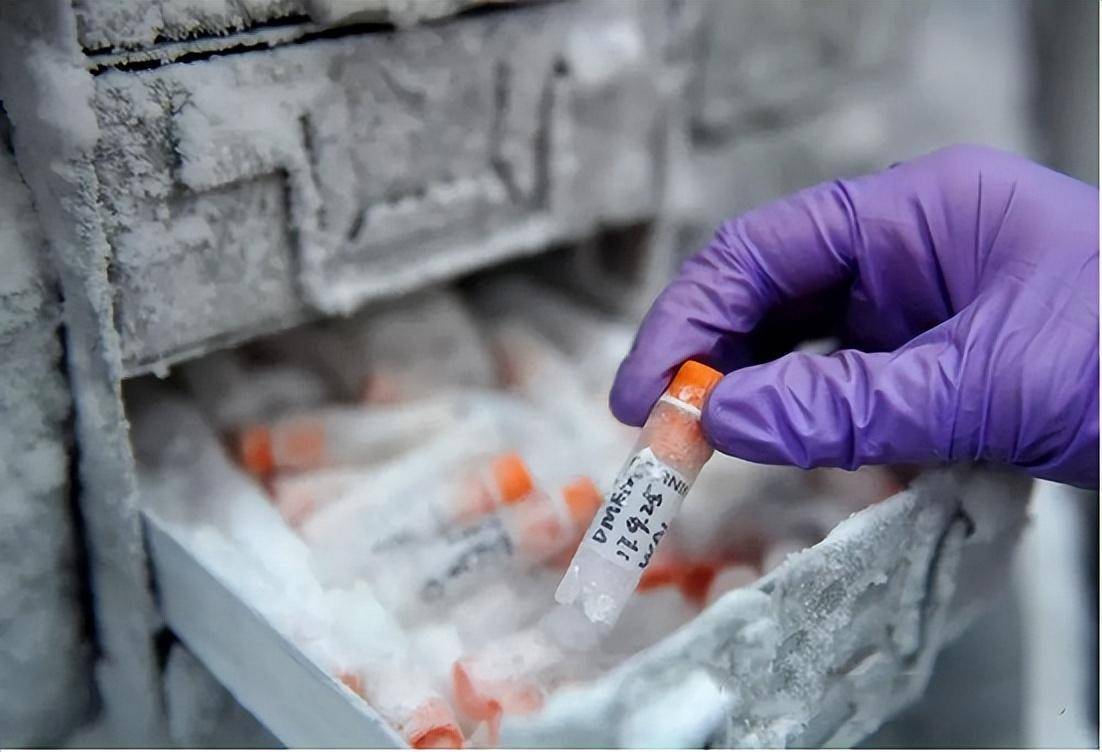 细胞奇妙之旅【冻存 复苏】_方法_温度_液氮