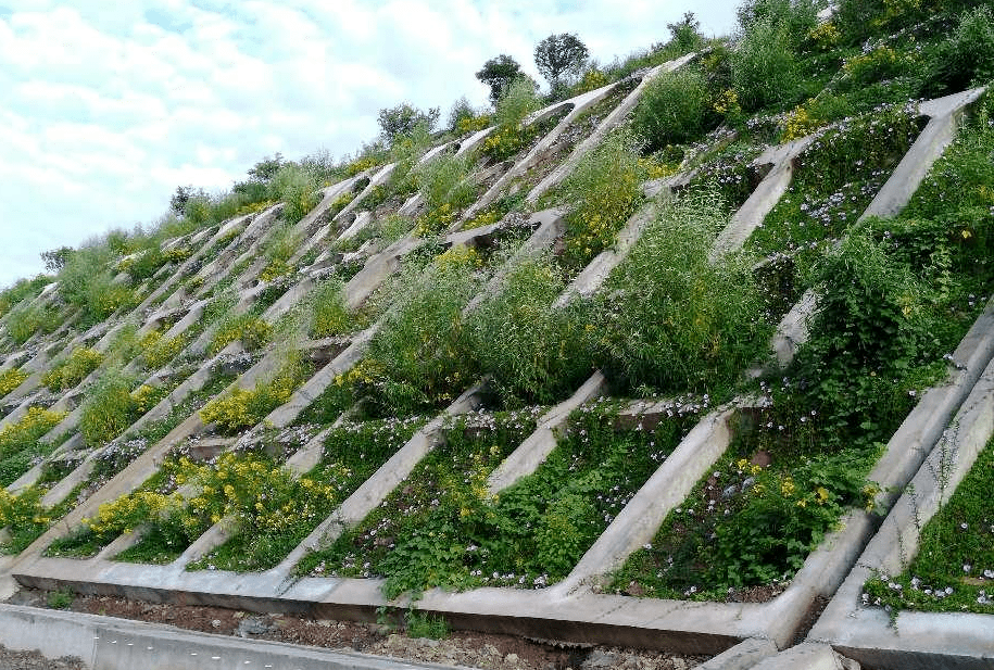一片花园 永大高速利用钻孔植播技术进行边坡生态修复_项目_建设_植物