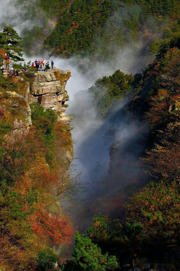 庐山枫叶红了!最美秋景渐入佳境!一入镜便是大片(附赏枫攻略)