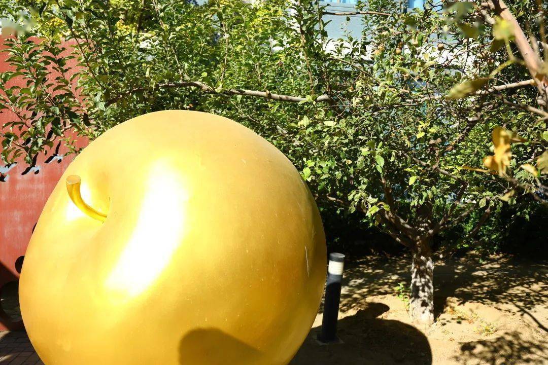 网站建设使用金苹果 来自搜狐网