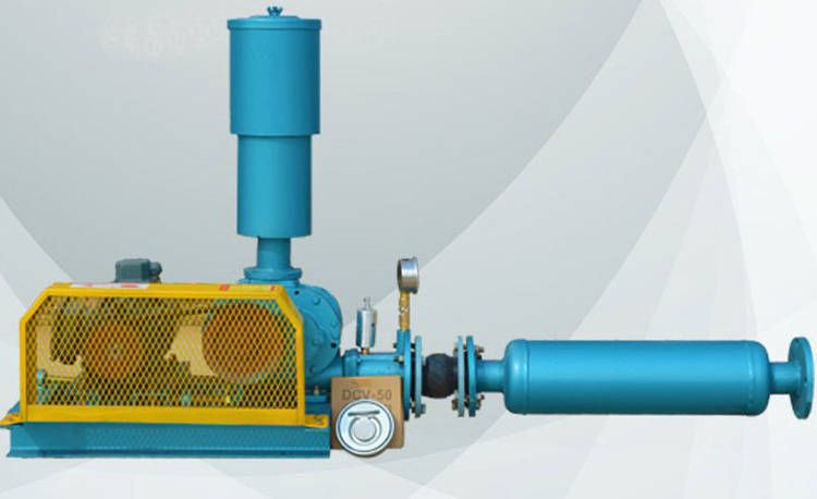 东营罗茨鼓风机启动时,不放空的后果有哪些?_调整_闸阀_电机