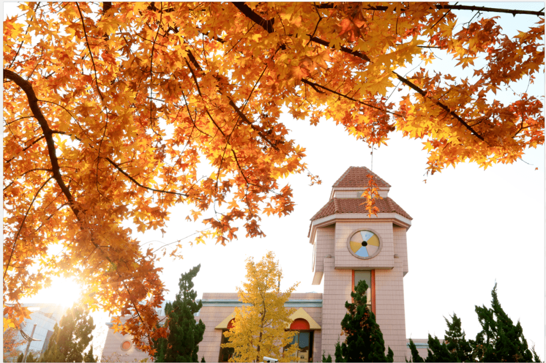 大雪纷纷 银装素裹给映月湖岸着上一层白纱拾一片雪花 将海大园的美寄