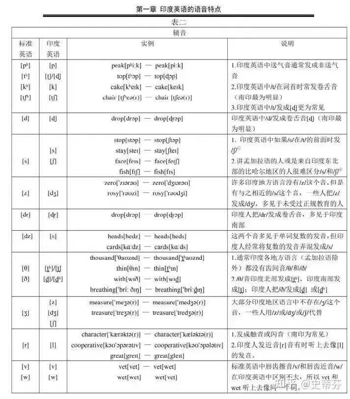 当选了当选了 印式咖喱英语 究竟什么味儿 口音 Raj 角色