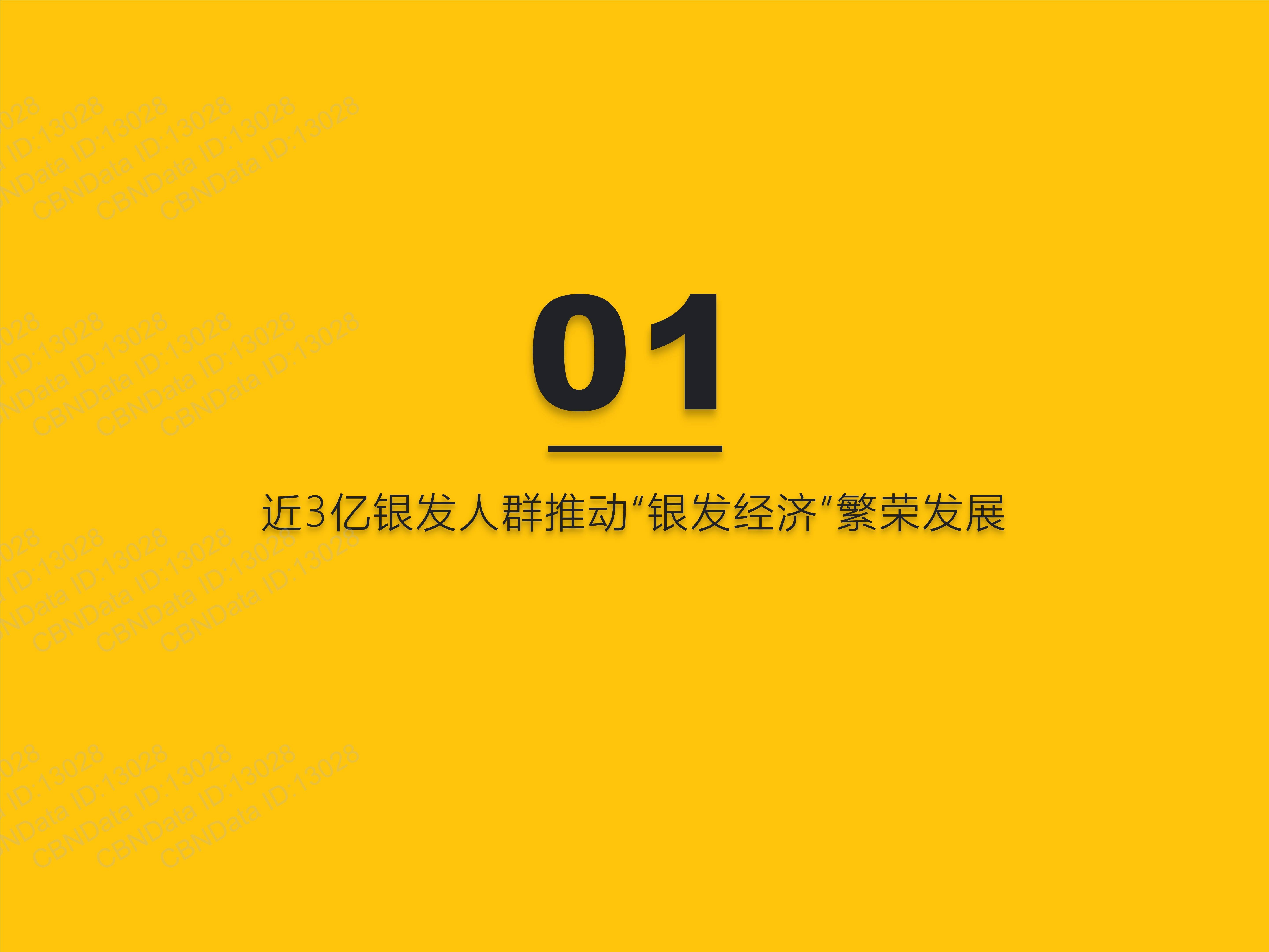 2022銀髮經濟洞察報告_用戶_互聯網_規模