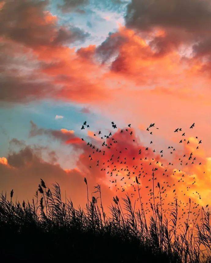 来看一场治愈系的晚霞吧_摄影_hyattins_@haley