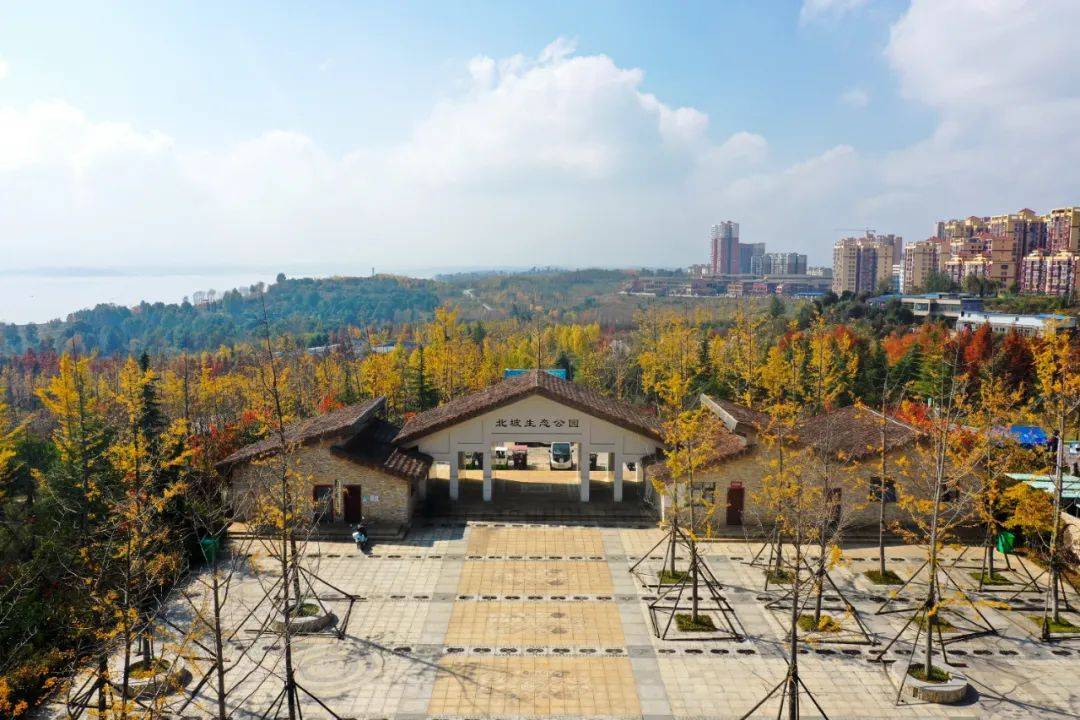 威宁草海北坡迎来"颜值"最高季_生态_公园_屏障