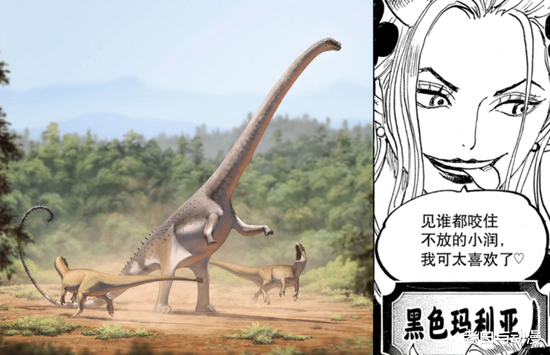 海贼王:飞六胞登场,他们都是什么恐龙?_玛丽亚_奎因_德雷克