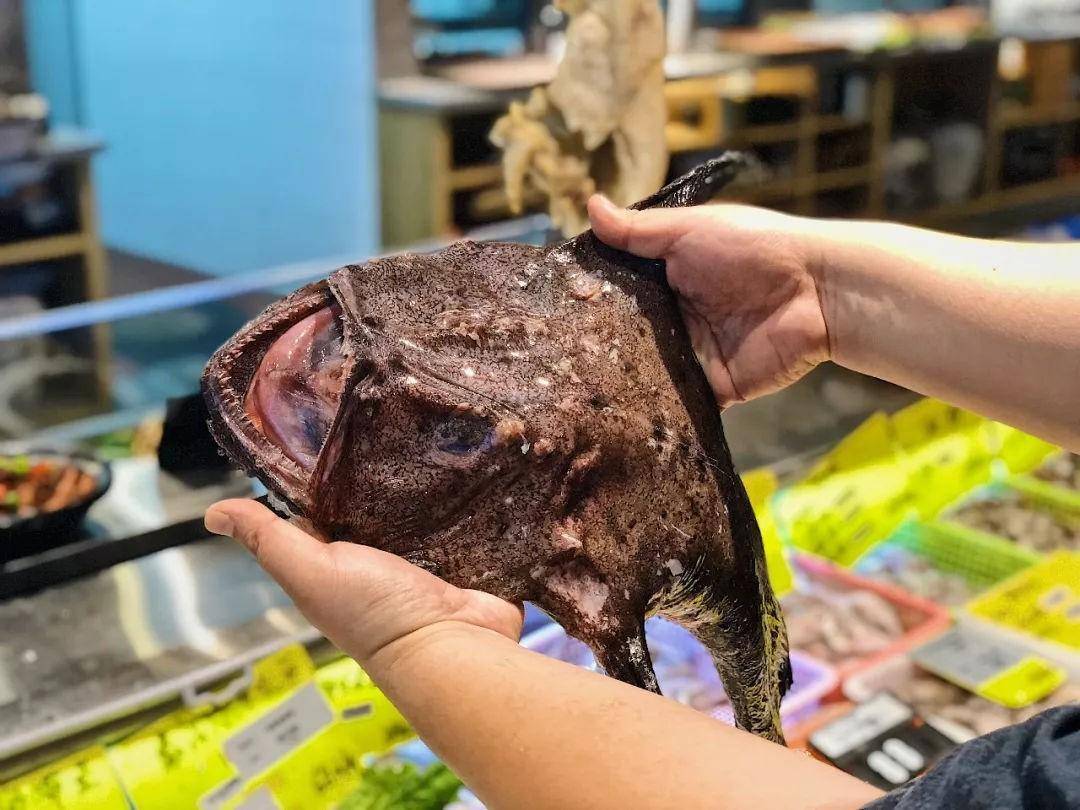 海洋里的6种丑八怪鱼,有一种鱼"脸都没有",看完长见识了_翻车鱼_因为