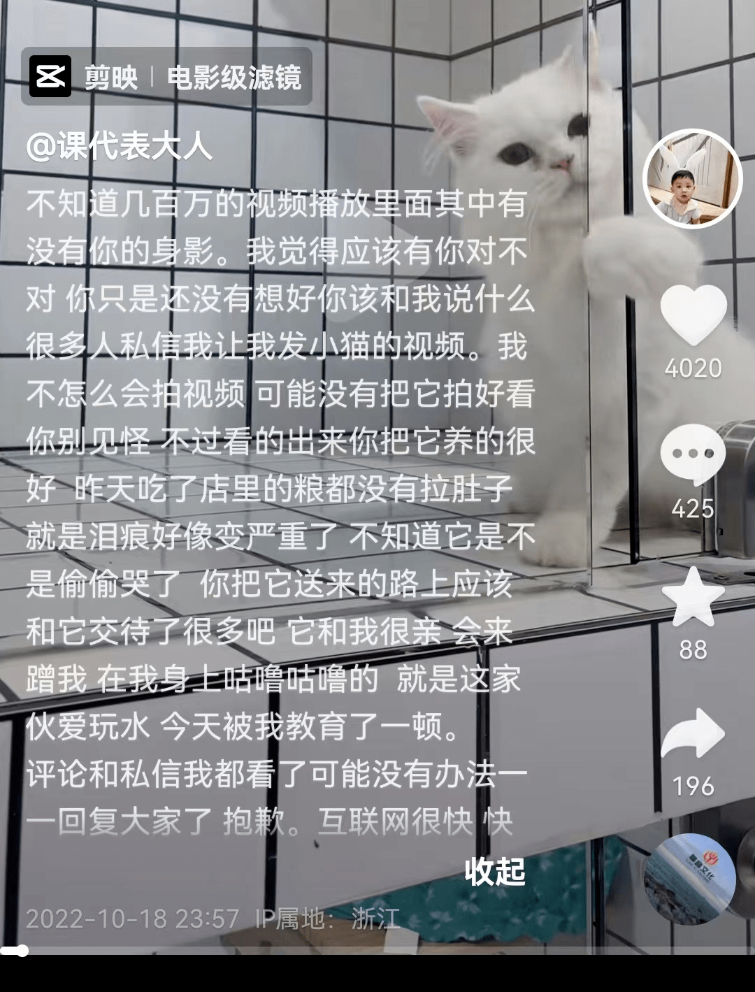 患癌仆人把猫拜托给猫咖：若是下个月我还活着，会来看它...