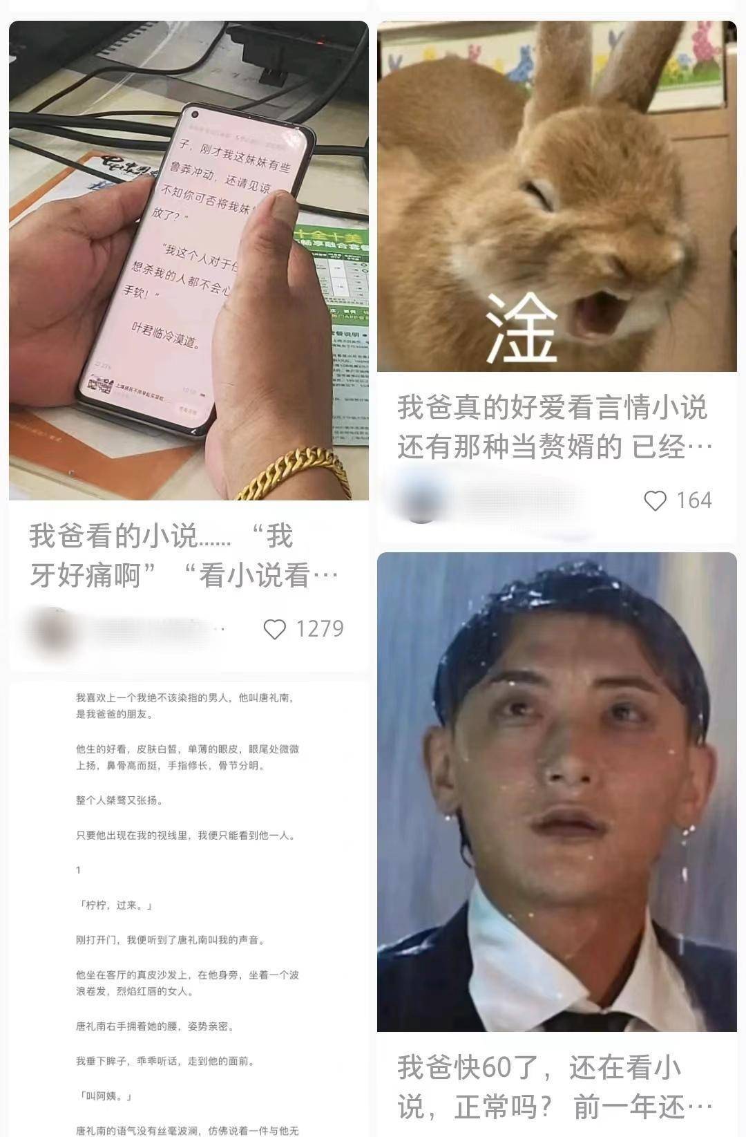 中老年人“恋上”收集小说，需要防沉浸吗？