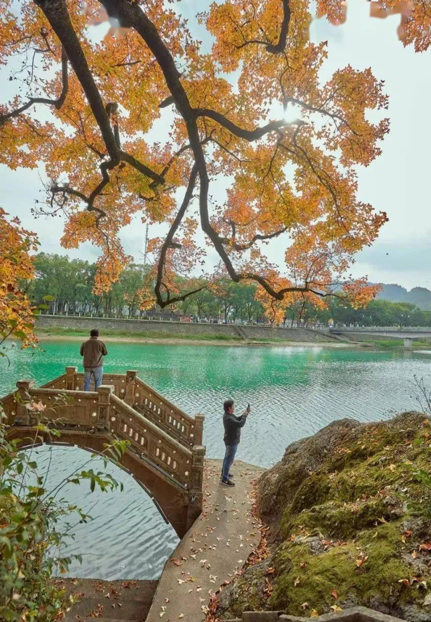 不要忘了看民国,丰镐房,玉泰盐铺,蒋氏宗祠,小洋房,武岭城楼,蒋母陵园