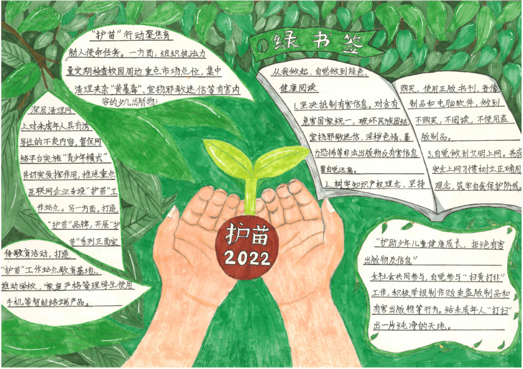云南文山:护苗联盟·绿书签行动手抄报优秀作品