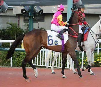 烽火台｜巫显东黎海荣图破闷局