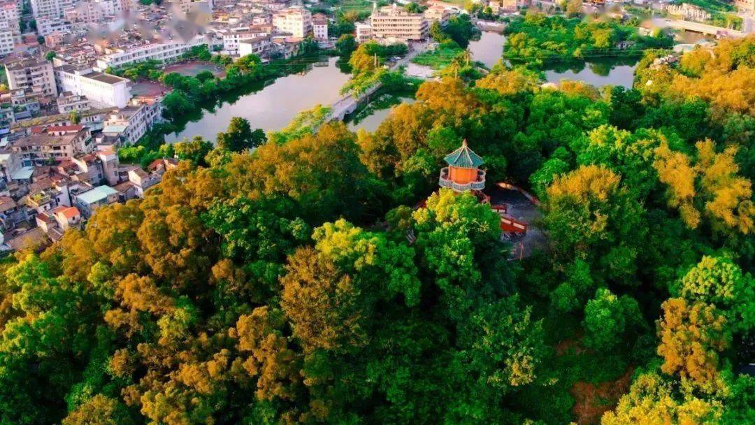 博罗县葫芦岭贝丘遗址公园改造进行时_项目_小东门_休闲