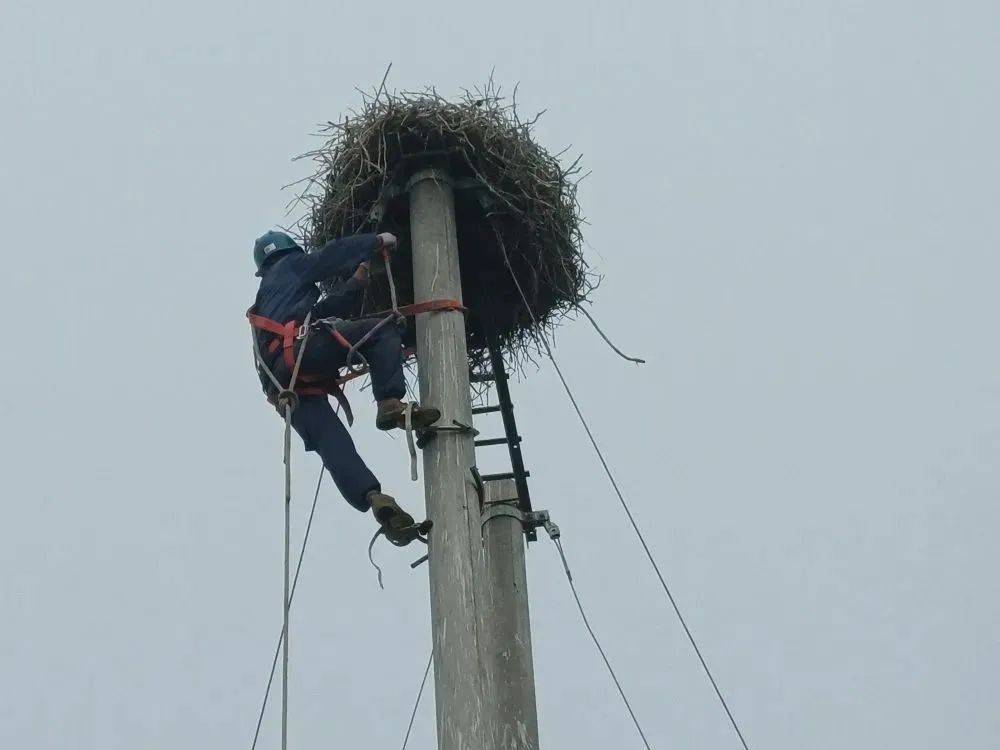 开通两年，中国斗极再次实力出圈