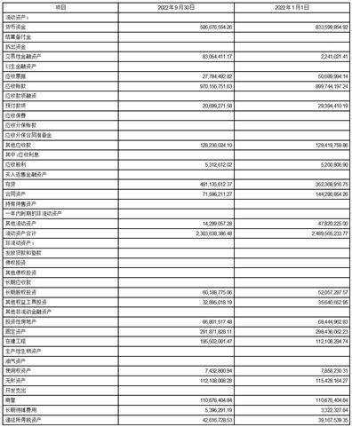 长高电新科技股份公司2022第三季度陈述