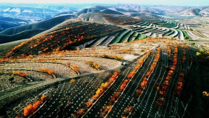 【图说庆阳】环县车道镇双庙村:抢抓墒情植树忙_绿化_群众_家园