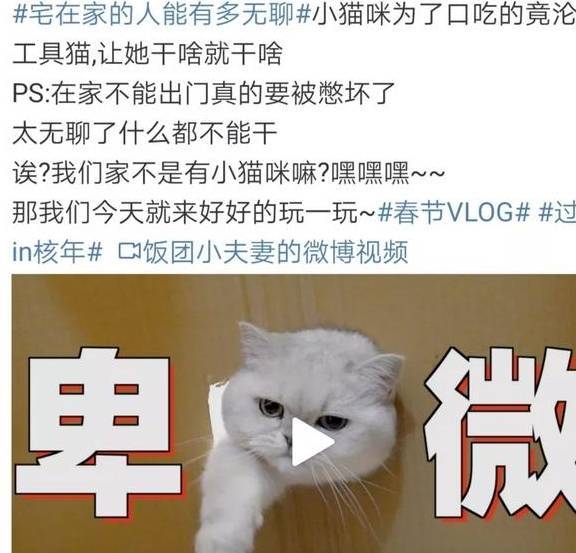 在家隔离的第20天，我的猫“秃”了……