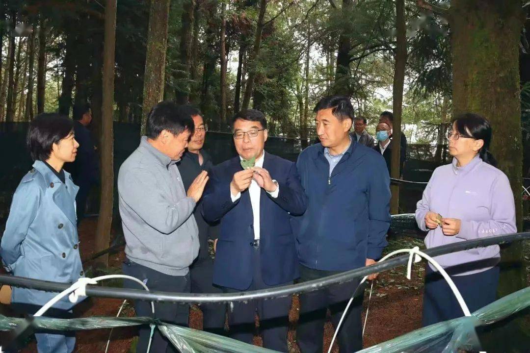 省科技厅调研组赴临沧市调研时强调 发挥农业科技创新引领作用 为实施