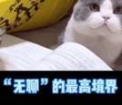 在家隔离的第20天，我的猫“秃”了……