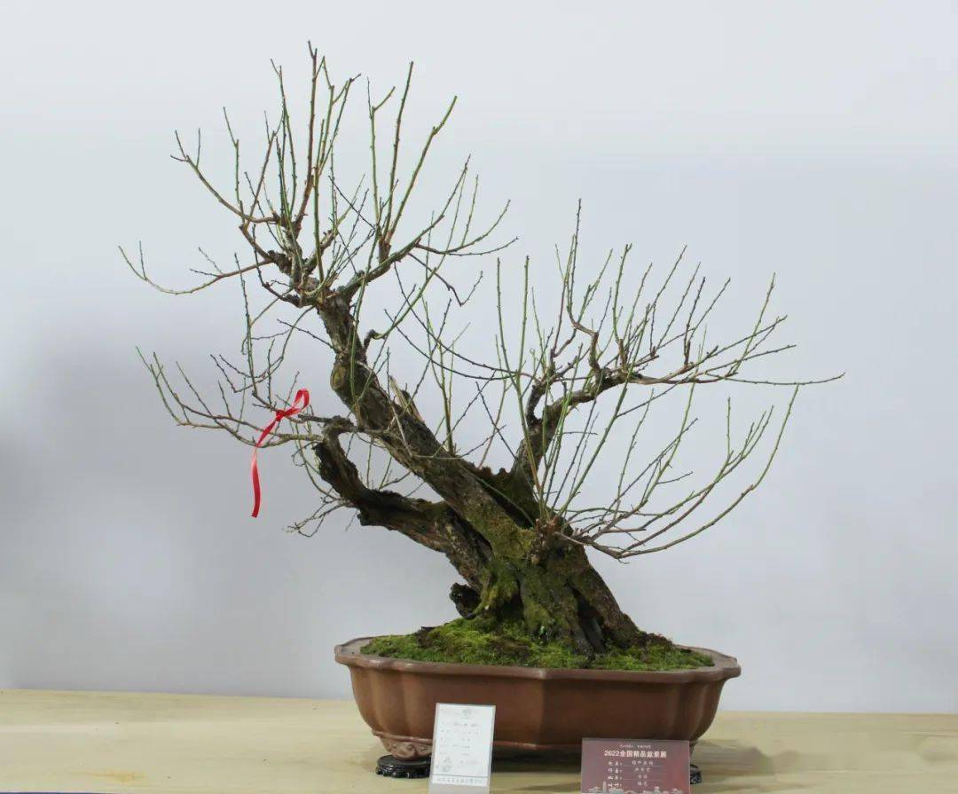 现场带货朱登峰先生为大家介绍拍品概况李小军先生为大家介绍拍品概况