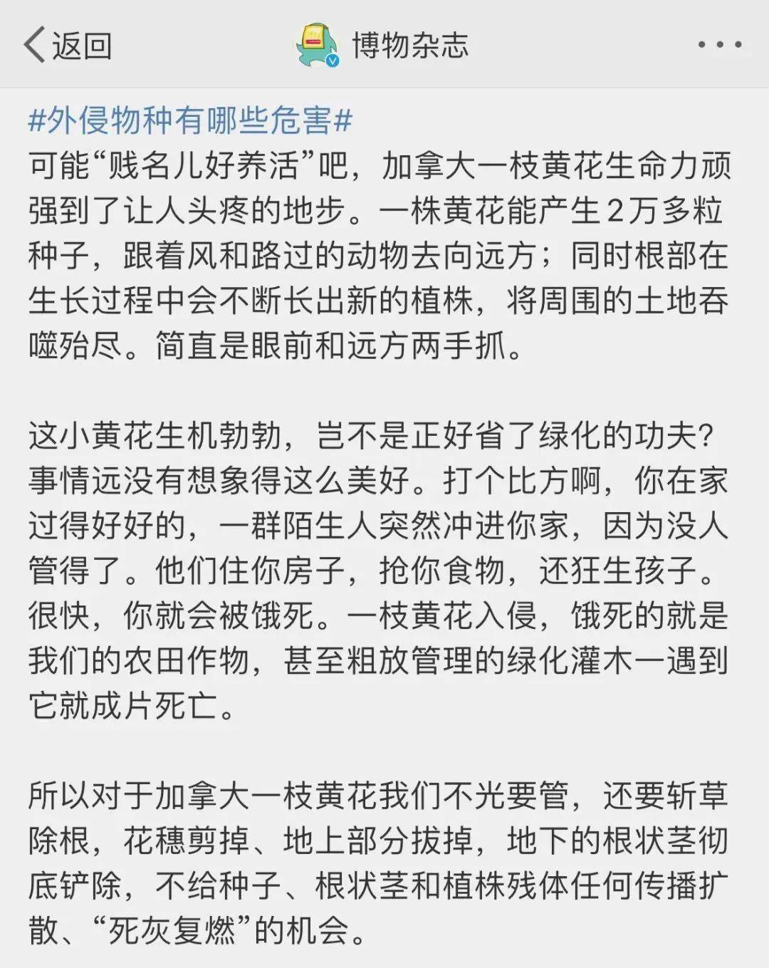 萧山多个镇街发现外来有害物种，多名网友说有众多之势！看到咋处置？