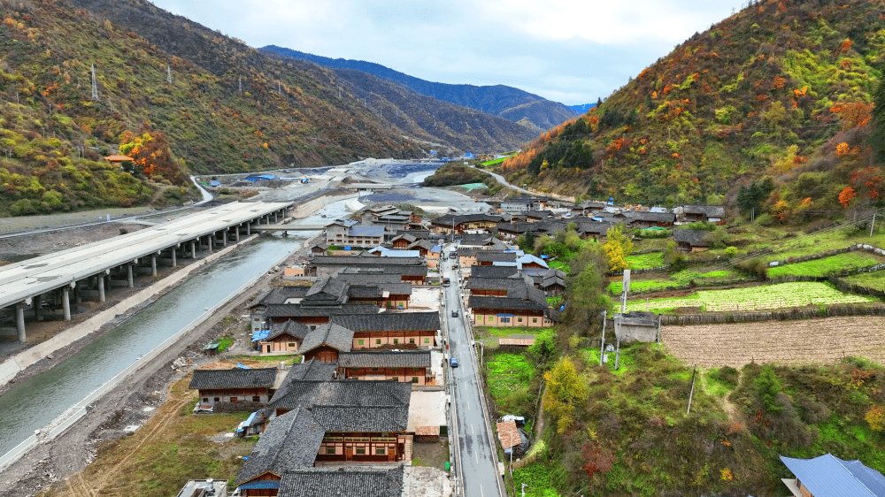 藏寨彩林画中"游" 生态经济助振兴_白马藏族乡_游客_建设