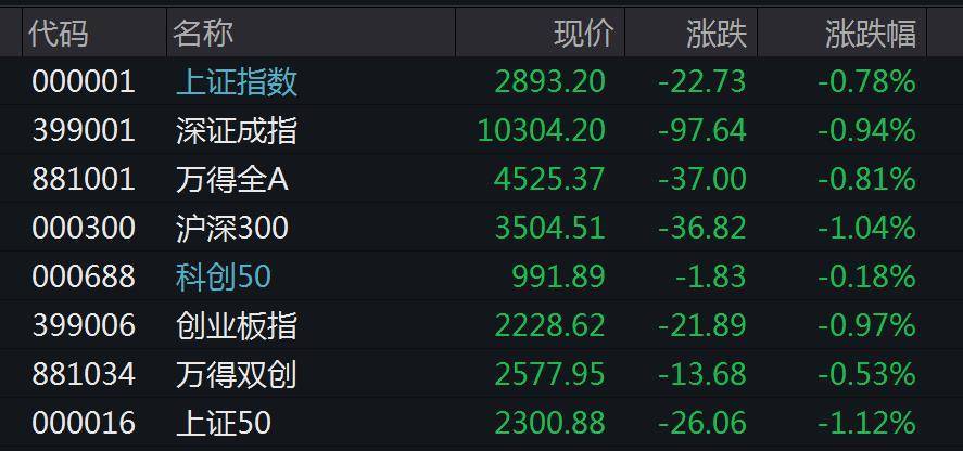 A股集体低开：沪指击穿2900点，养殖业、中药等板块下挫