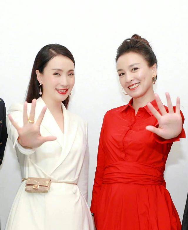 张庭陶虹涉嫌网络传销案将开听证会:涉及金额高达100亿(图6)