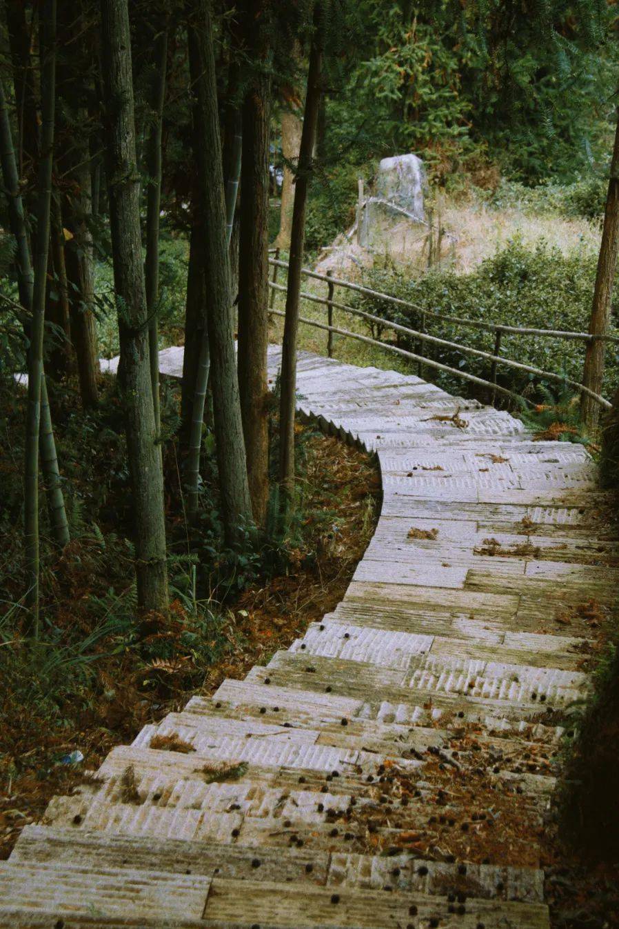 灵溪这个天然"氧吧" 再添新颜_东阳村_登山_游步道