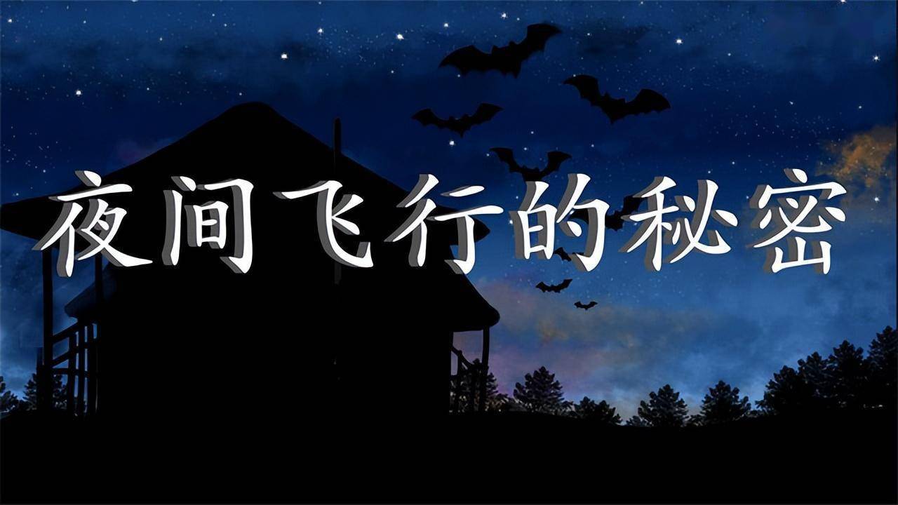 统编版四年级语文上册《夜间飞行的秘密》课文全解,预习资料