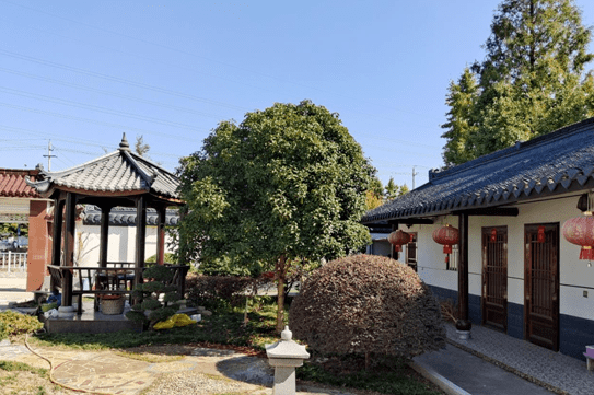 泰兴市元竹镇潘元村:"积分制"扮靓美丽庭院_建设_工作_群众