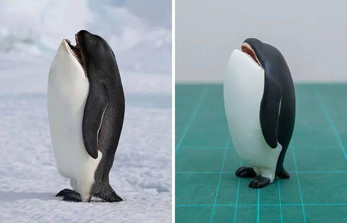 站立虎鲸羞涩仓鼠一副"我很珍贵"的表情腿特别有力体操浣熊生气的家伙