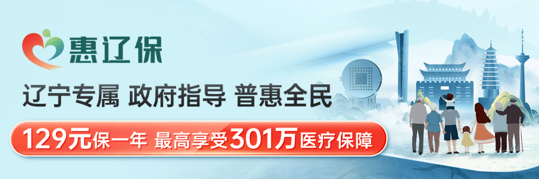 政府指导,万众瞩目!辽宁省级惠民保险"惠辽保"正式上线发布