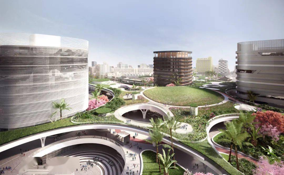 曲线形状的树冠像青翠的神经元树突一样遍布其城市网络,寻求振兴,弹性